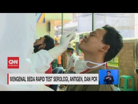 Video: Perbedaan Antara Hapten Dan Antigen