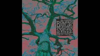 Bobby Bare jr -  Your Goat is On Fire