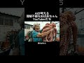 AIが考える理解不能なおばあちゃんYouTuberたち 【その4】 #ai #ai動画 #aivideo #aishorts #おばあちゃん #AIおばあちゃん