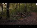 Bois De Lauzelle Automne 22 à Louvain La Neuve LLN Central Belgium 2022 AUTUMN HabariSalam