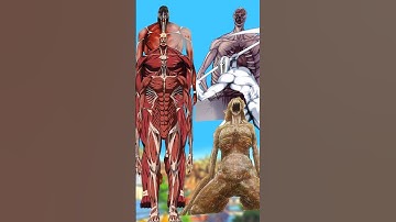 Eren, Bertholdt & Armin Colossal Titan Vs All Titan