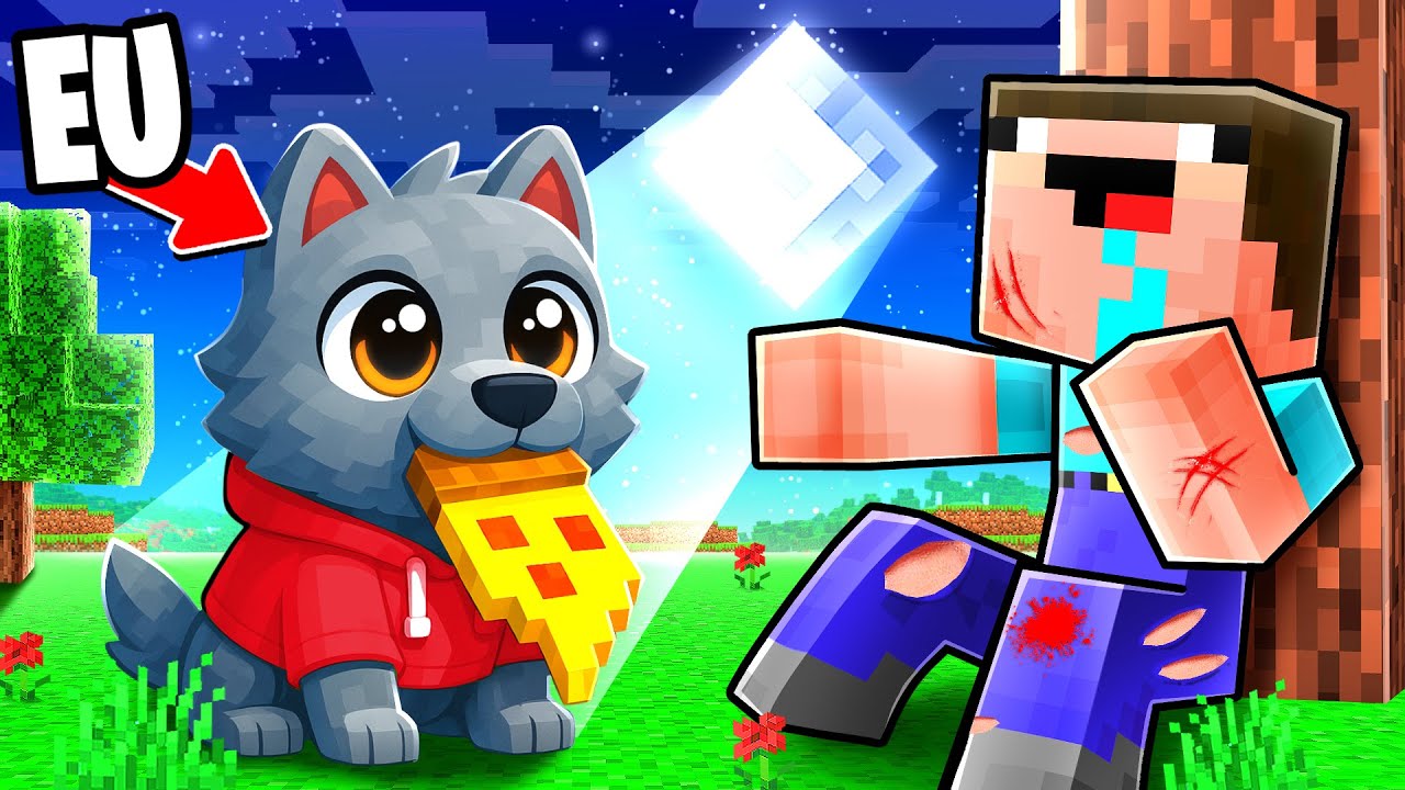 Joc ca un BEBE LUP in Padure!