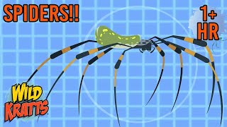 Secrets Of The Spiders Web Full Episodes Wild Kratts Scholastic Kids