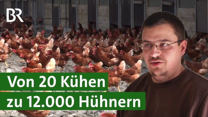 Cem Özdemir`s Hühner-Warnweste: was wirklich sinnvoll ist 