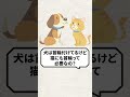 Q：犬は首輪付けてるけど、猫にも首輪って必要なの？