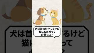 Q：犬は首輪付けてるけど、猫にも首輪って必要なの？