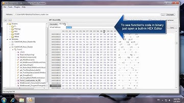 VB Decompiler    NET Decompilation