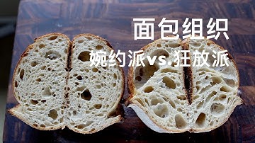 【实验】怎样做出大孔和多洞的欧包？Sourdough bread---Wild crumb vs. even crumb