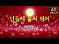박미경 Park Mi Kyung 민들레 홀씨 되어 가사 4K