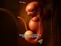 9 Weeks of Life: A Miracle in the Making #birth #pregnant #baby