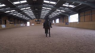 So i had a bash at my first ever online dressage test with joey. it
was such fab experience and mostly blown away by how lovely the
community was. so...