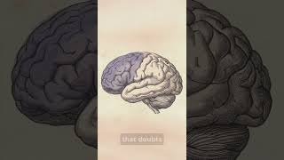 Why Your Brain Stops Protecting You.