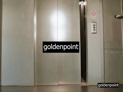 Goldenpoint | Spring 18