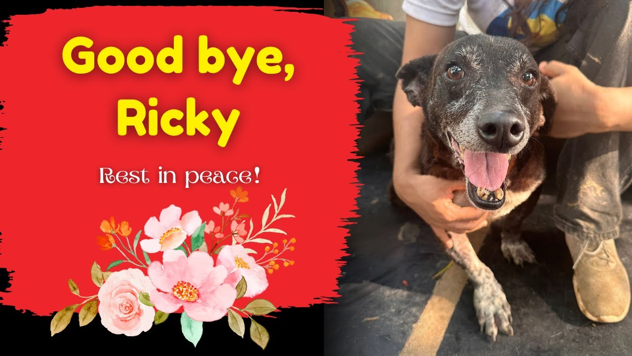 Goodbye Ricky | Rest in Peace - YouTube