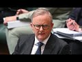 ‘Beta male’: Anthony Albanese branded as a follower ‘not a leader’