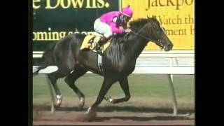 A Tribute To Tiznow Warriors