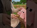 Бабушка и свинка в Minecraft