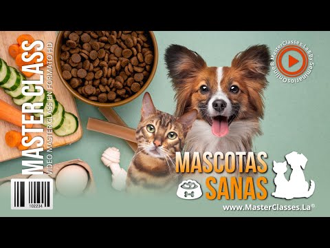 Curso Mascotas Sanas - Mascotas Sanas Hotmart - Mascotas Sanas Masterclass - Diana Fonseca - 2025