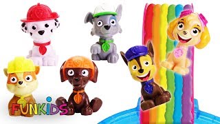 Learning Video for Kids Paw Patrol Rainbow Slide in Pool Learning Video for Kids Paw Patrol Rainbow Slide in Pool