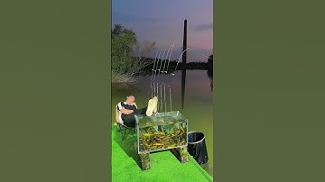 Bí quyết câu cá bò, cá chép HIỆU QUẢ nhất 2024 #fishing #shorts