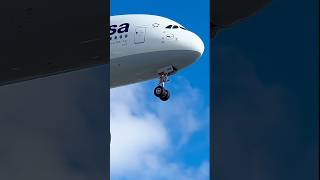 “Delhi” (D-AIMM) Lufthansa A380 as LH452 MUC-LAX @LAXairport1