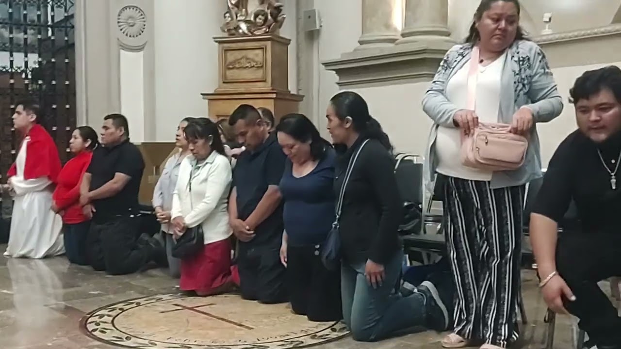 #vocacional #eamsil #monaguillossil #monaguillosmty #sembradores  misa catedral de Monterrey 