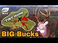 How To SHRINK a Buck's Home Range
