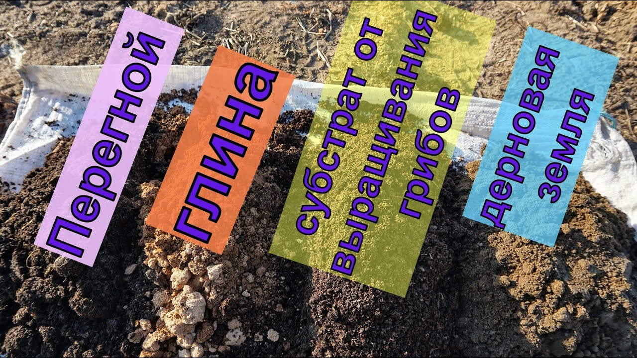 Виноград .Почему я копаю кубовые ямы для посадки винограда ?