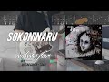 そこに鳴る - white for || Sokoninaru - white for || GUITAR COVER + TABS!