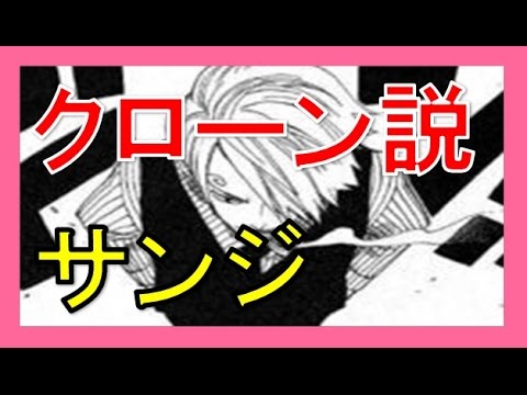 ワンピース サンジ正体は兄弟共にクローン 伏線から見るサンジがゾロも超える最強生物の可能性は Youtube