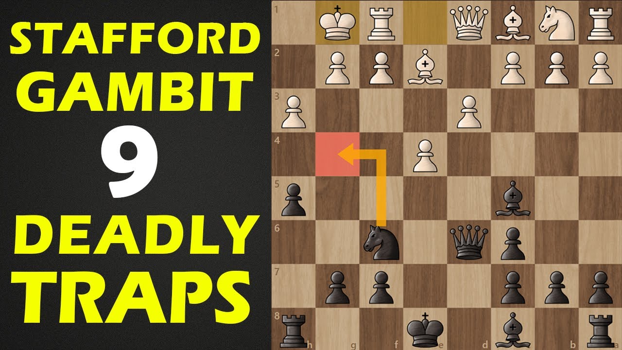 FANTASTIC Stafford Gambit wins in 8 moves FANTASTICO Gambito