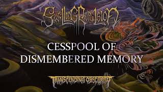 SWELLING REPULSION - Cesspool of Dismembered Memory (Prog/Tech Death Metal) Transcending Obscurity