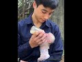 Being carefully cared for by her father, little monkey  drinks milk with peace of mind