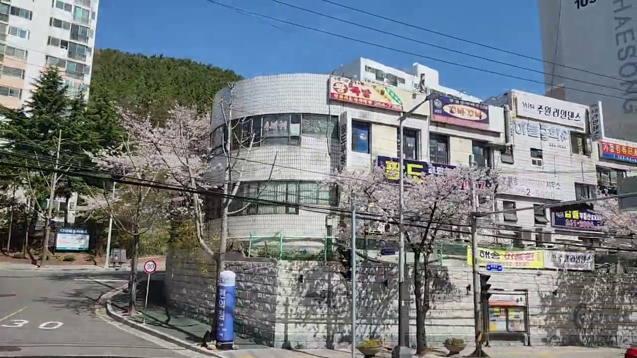 부산 동진여객 3번 다대포항역-다대롯데캐슬블루 주행영상