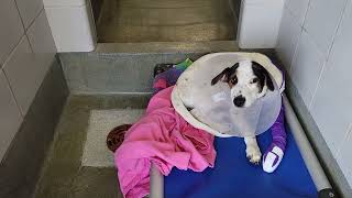 acs A685805