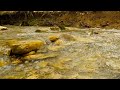 March mountain stream. Gentle sounds of a flowing stream. 8 Hours of 4K video.