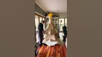 Can you put lights on a cardboard Christmas Tree.mp4