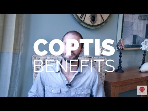 Vidéo: Coptis à Trois Feuilles