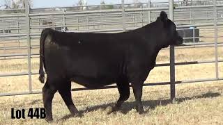 Lot 44B