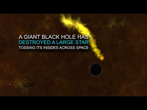Quick Look: A Giant Black Hole Destroys a Massive Star