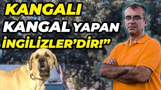 Gezginci: "KANGAL BANA HİTAP ETMİYOR!" | SİZCE KİM HAKLI? | Kangal mı Anadolu Çoban mı?