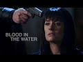 Criminal minds  blood in the water