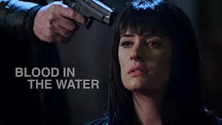Criminal Minds || Blood In The Water