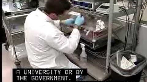 Biomedical Engineers