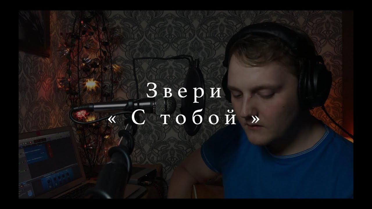 Звери клип с бентли
