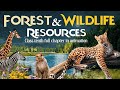 Forest and wildlife resources class 10 cbse full chapter animation  class 10 geography chapter 2