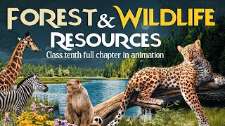 Forest and Wildlife Resources Class 10 cbse full chapter (Animation) | Class 10 Geography Chapter 2