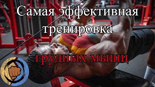 Симеон Панда | Как накачать грудные мышцы?