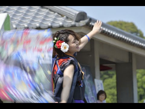 調しらべsirabe　（「承つなぐ～夢幻泡影～」2024）（よさこい演舞）　菖蒲祭り　ショウブまつり　長尾さぬき市　さぬき市　2025