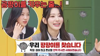 카즈하 룸메이트 사쿠라, 카스텔라에 곰팡이 나도 치우지 않음... | 아는 형님 381회 | JTBC 230429 방송